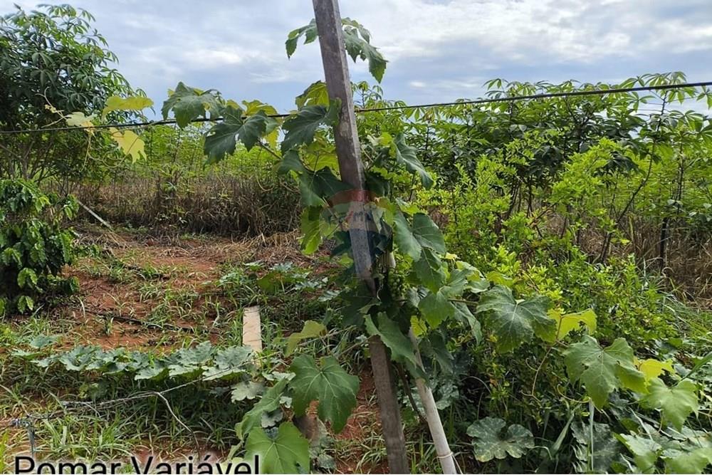 Casa de Campo - Venda - Paraopeba , Minas Gerais - d1f583f3-daf2-4623-a5a7-423d85c96862.jpg - 870241024-46