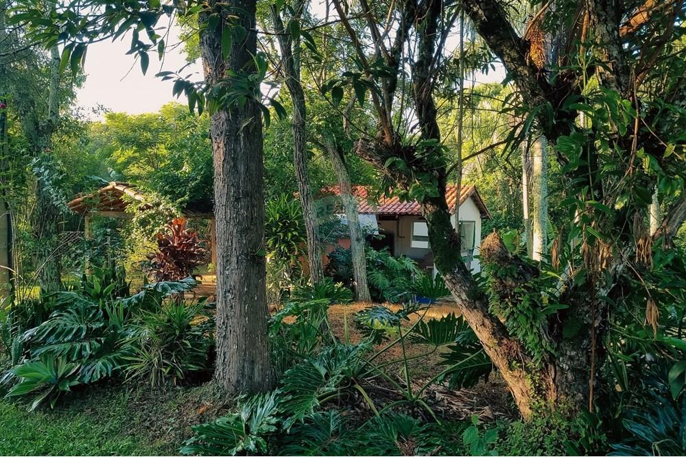 Chácara / Sítio / Fazenda - Venda - São Sebastião do Paraíso , Minas Gerais - c17.jpg - 870291002-306