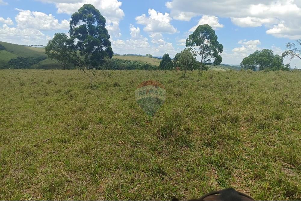 Chácara / Sítio / Fazenda - Venda - Cruzília , Minas Gerais - WhatsApp Image 2025-04-17 at 14.21.20 (2).jpeg - 870361041-110