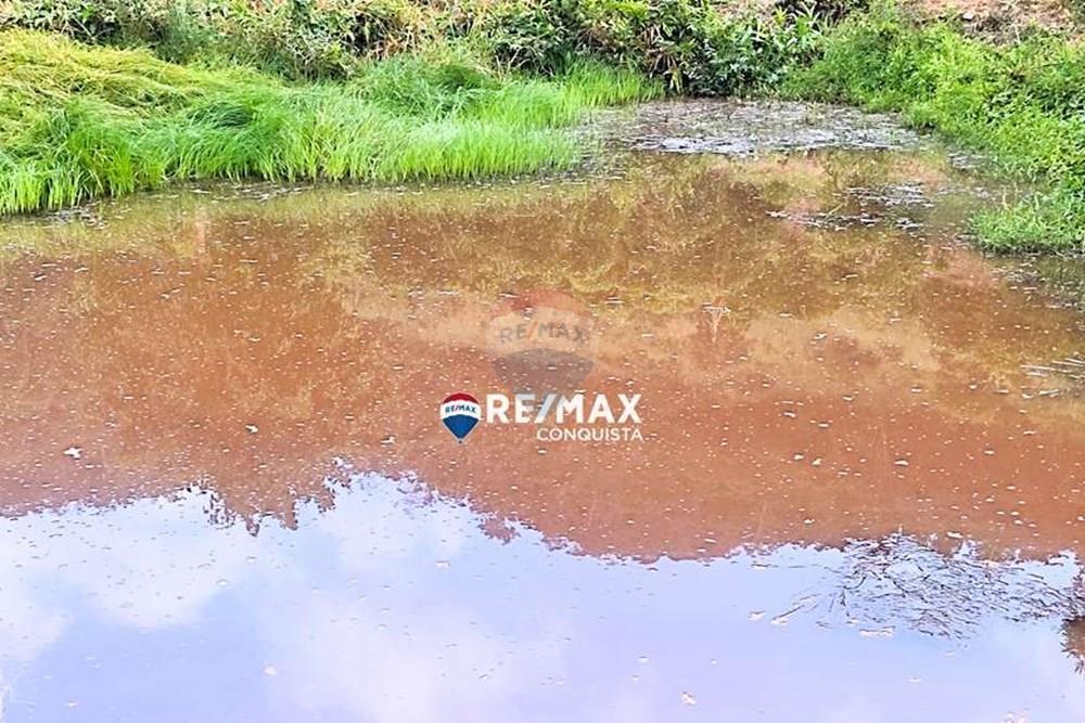 Chácara / Sítio / Fazenda - Venda - Ipanema , Minas Gerais - 2_IMG_20240515_070833_watermark_dom._23062024_100227.jpg - 870451001-121