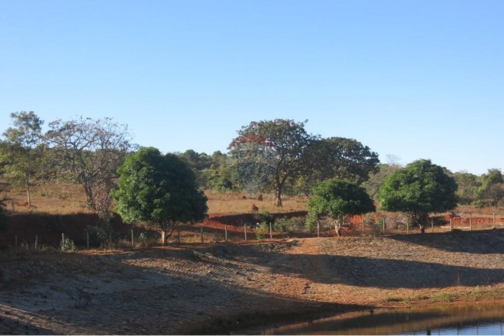 Chácara / Sítio / Fazenda - Venda - Pedro Leopoldo , Minas Gerais - IMG_3978.JPG - 870411101-6