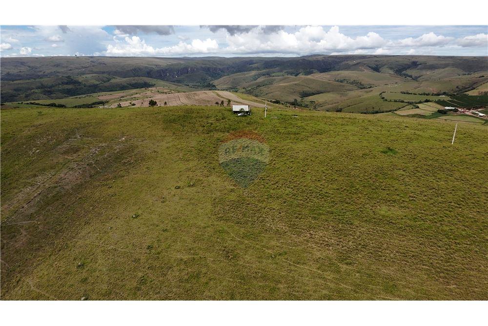 Fazenda - Venda - São Roque de Minas , Minas Gerais - 3 - 870431039-46