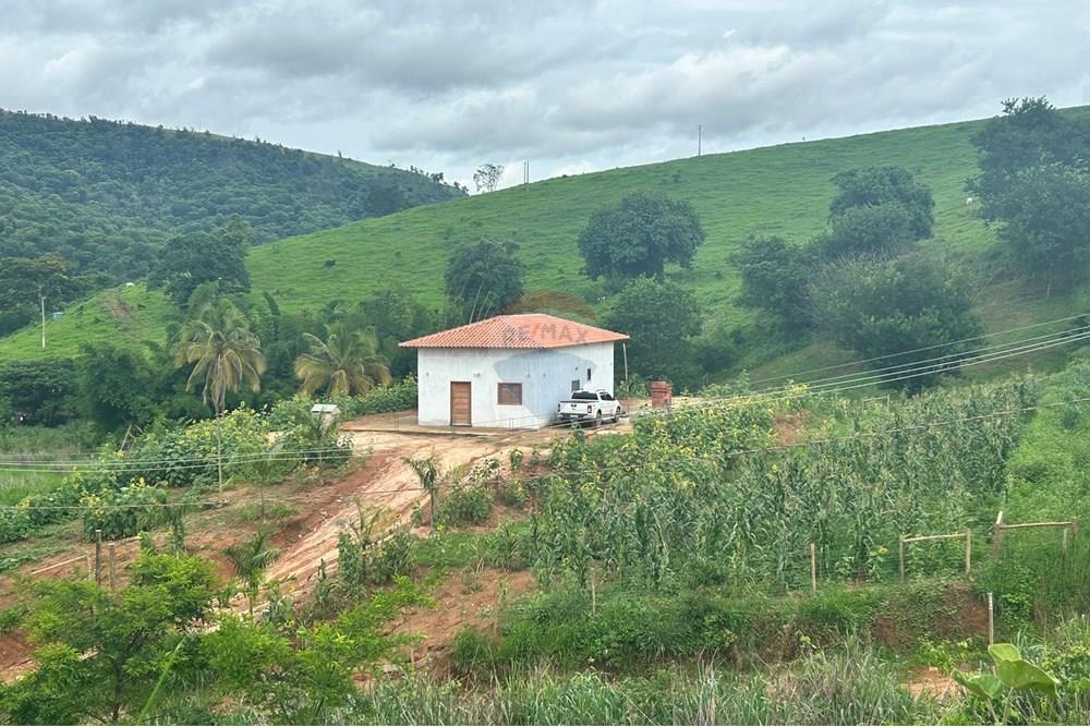 Chácara / Sítio / Fazenda - Venda - Governador Valadares , Minas Gerais - IMG_7918.JPEG - 870671017-71