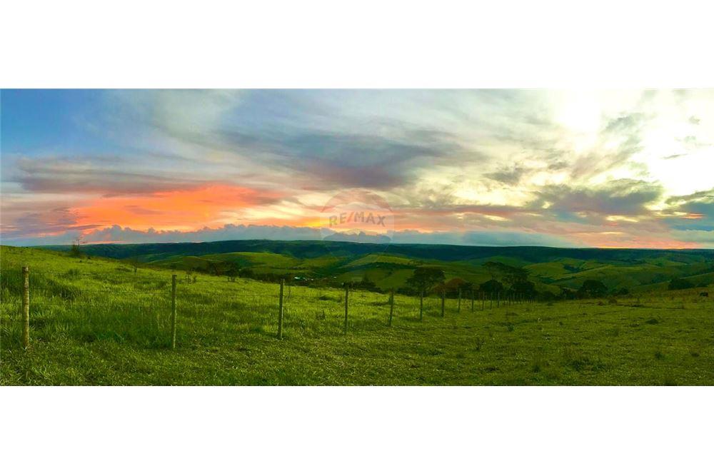 Fazenda - Venda - São Roque de Minas , Minas Gerais - 2 - 870431039-46