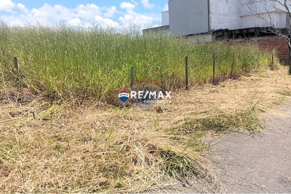 Chácara / Sítio / Fazenda - Venda - Ipanema , Minas Gerais - WhatsApp Image 2025-02-19 at 16.28.35(1).jpeg - 870451013-54