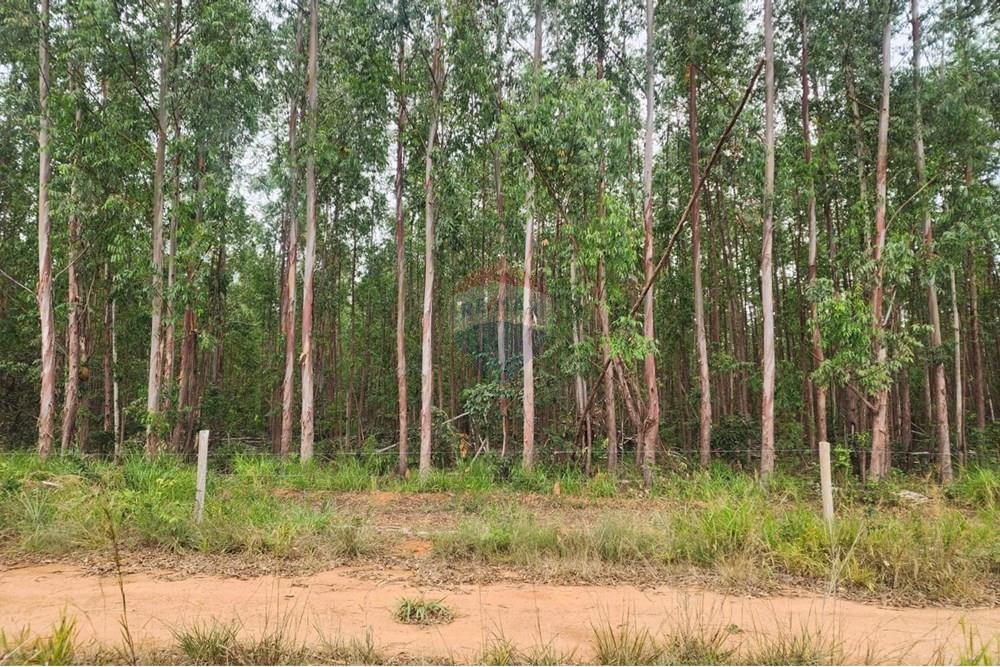 Chácara / Sítio / Fazenda - Venda - Curvelo , Minas Gerais - c056498a-40d5-4e44-9837-a47098e4008e.jpeg - Quintal - 870241024-65