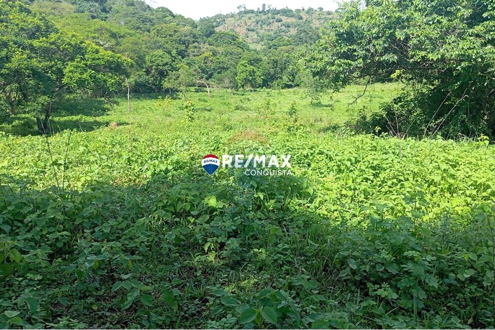 Chácara / Sítio / Fazenda - Venda - Pocrane , Minas Gerais - 1_IMG_20241203_085007_watermark_sex._13122024_135944.jpg - 870451001-114