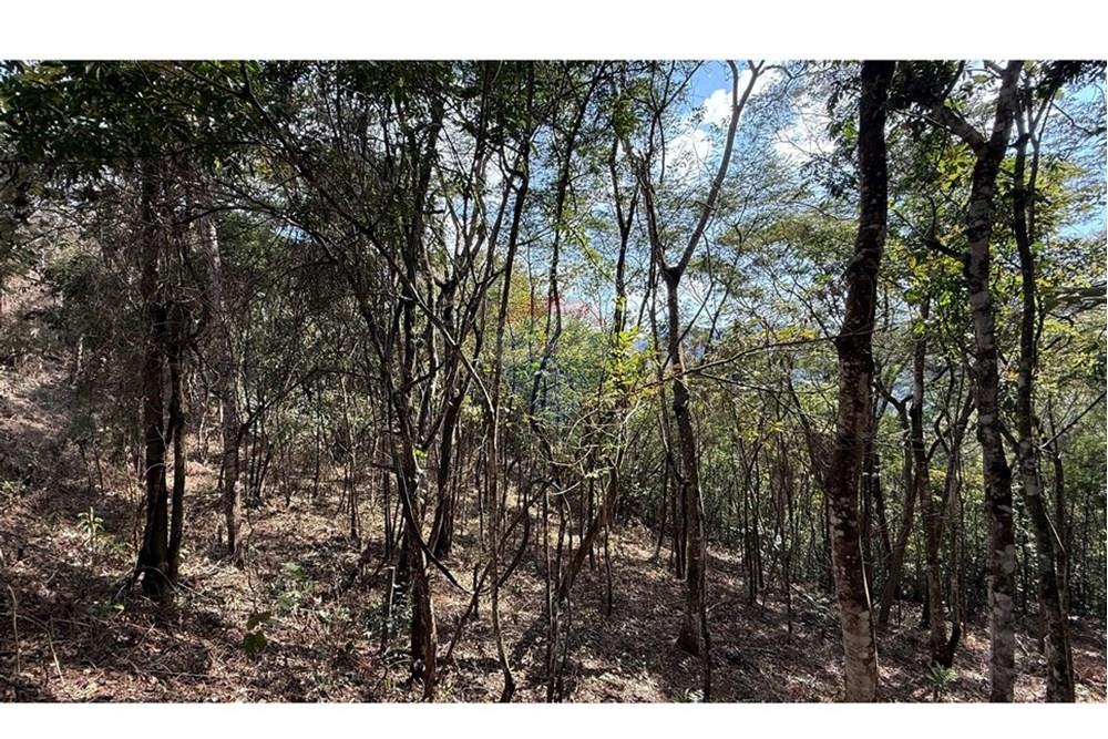 Terreno - Venda - Nova Lima , Minas Gerais - IMG_1416.jpg - 870351059-18