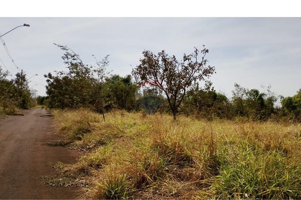 Chácara / Sítio / Fazenda - Venda - Uberaba , Minas Gerais - W4.jpeg - 870291037-16