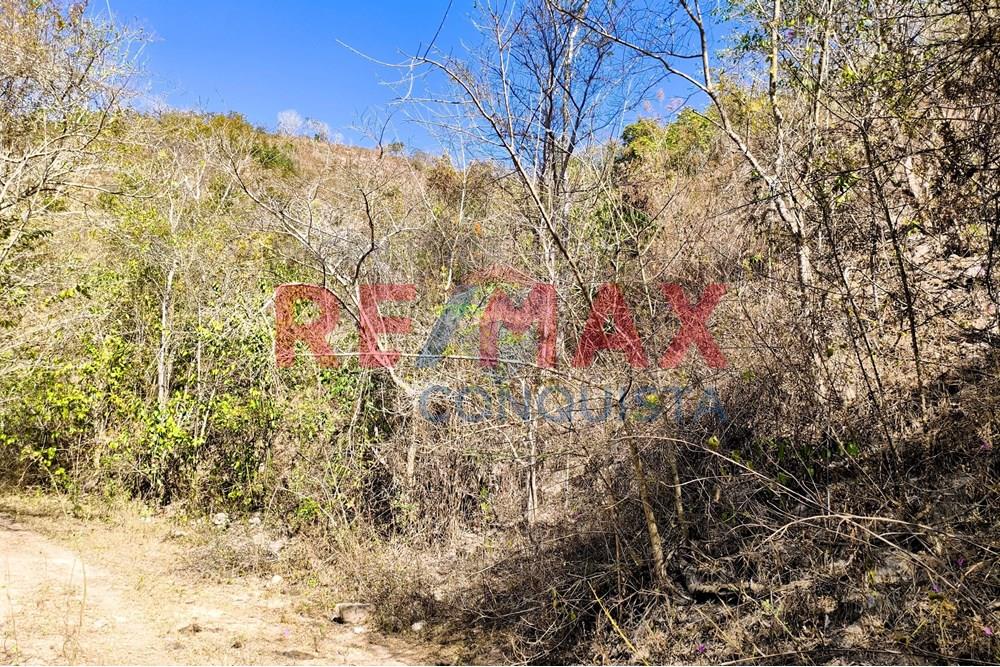 Chácara / Sítio / Fazenda - Venda - Ipanema , Minas Gerais - 2_image_2_watermark_seg._15092025_150519.jpg - 870451013-72