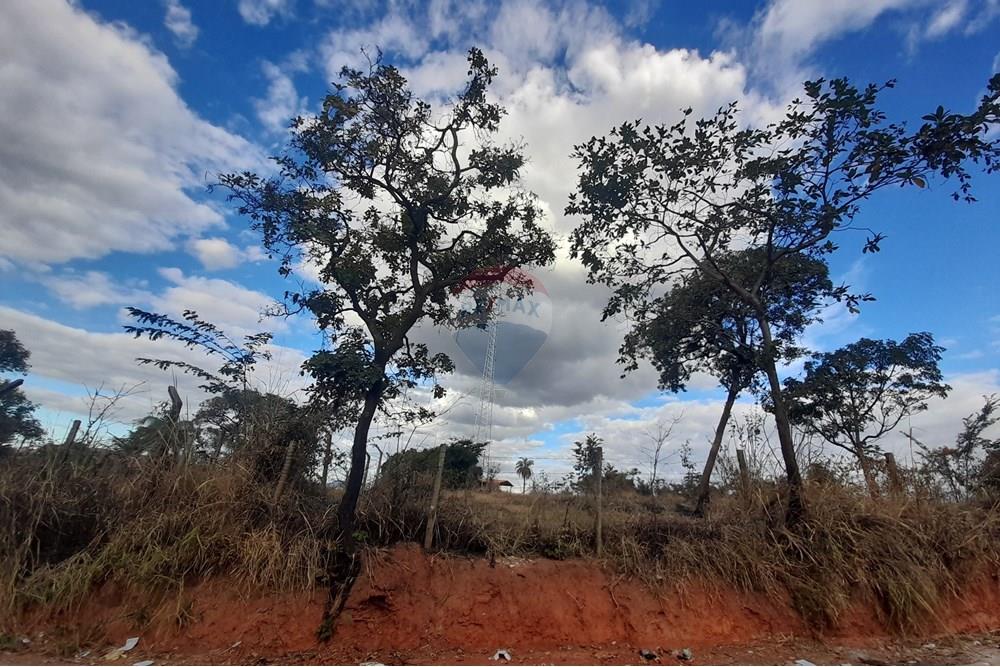 Terreno - Venda - Belo Horizonte , Minas Gerais - 20250620_154455.jpg - 870411011-95