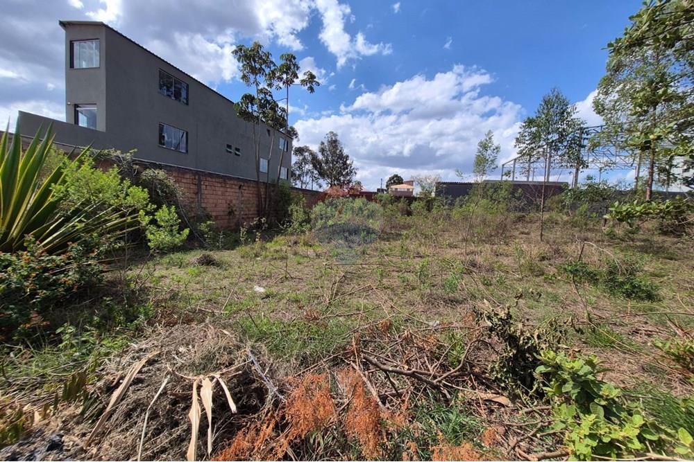 Terreno - Venda - Nova Lima , Minas Gerais - Foto 10.jpeg - 870421061-60