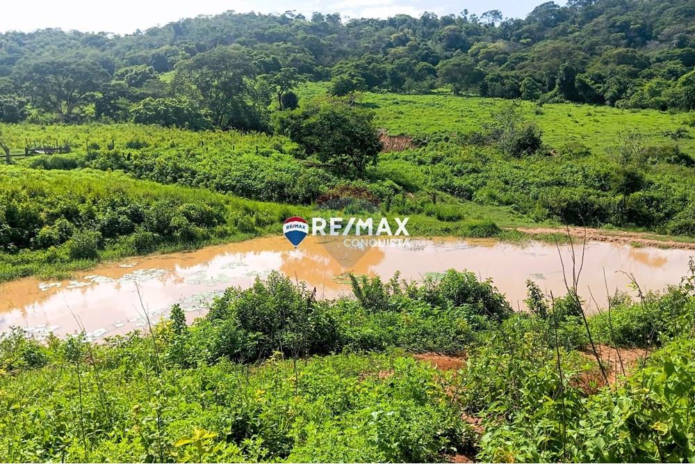 Chácara / Sítio / Fazenda - Venda - Pocrane , Minas Gerais - 6_IMG_20241203_083106_watermark_sex._13122024_135538.jpg - 870451001-114