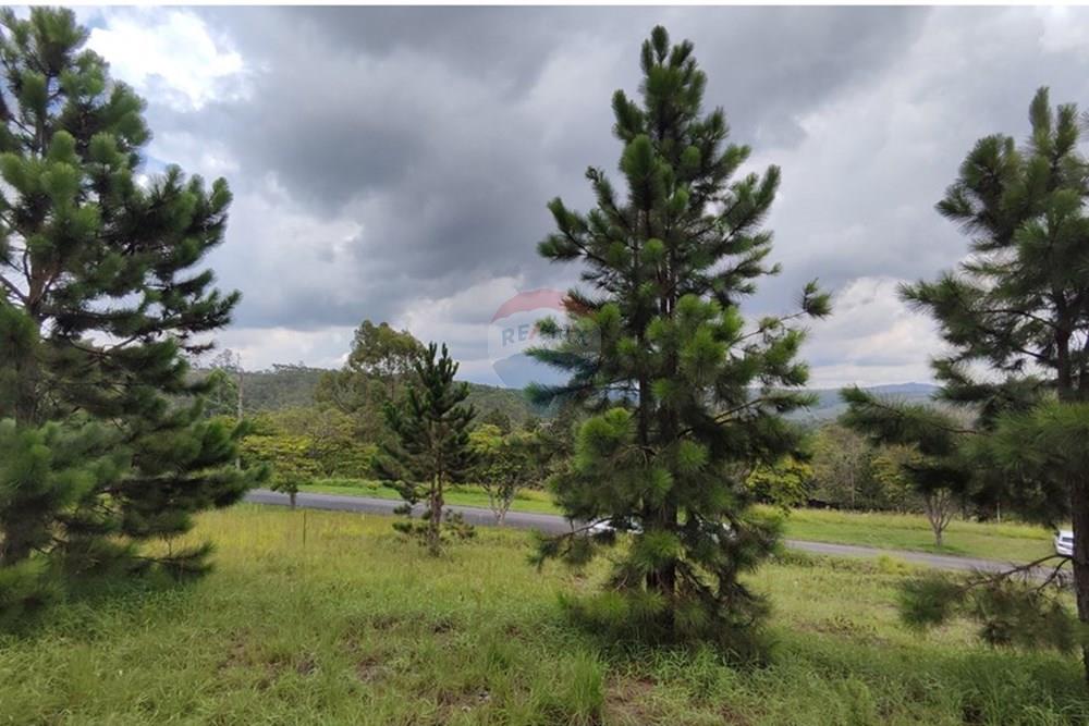 Terreno - Venda - Nova Lima , Minas Gerais - IMG_20250128_114930.jpg - 870421014-287