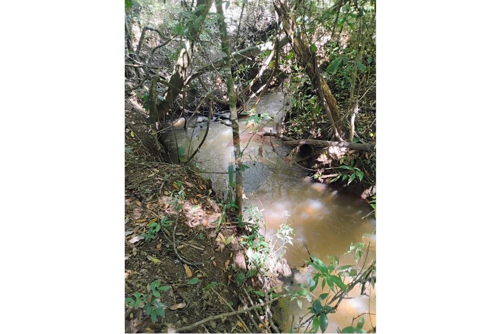 Chácara / Sítio / Fazenda - Venda - Perdizes , Minas Gerais - 1000372447.jpg - 870431028-37