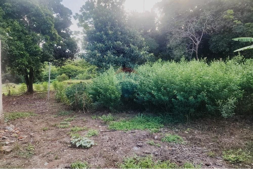 Terreno - Venda - Matozinhos , Minas Gerais - lote mtz01 (11).jpeg - 870241024-58