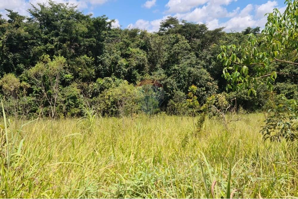 Chácara / Sítio / Fazenda - Venda - Araxá , Minas Gerais - Antônio Edson de Oliveira Júnior foto Porteira.jpg - 870431004-104