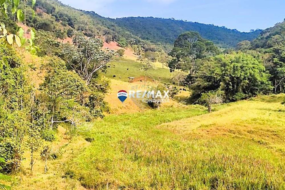 Chácara / Sítio / Fazenda - Venda - Ipanema , Minas Gerais - 3_IMG_20240515_093358_watermark_dom._23062024_100620.jpg - 870451001-122
