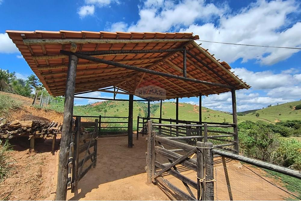 Chácara / Sítio / Fazenda - Venda - Governador Valadares , Minas Gerais - IMG_20250329_110008804_HDR.jpg - 870671027-7