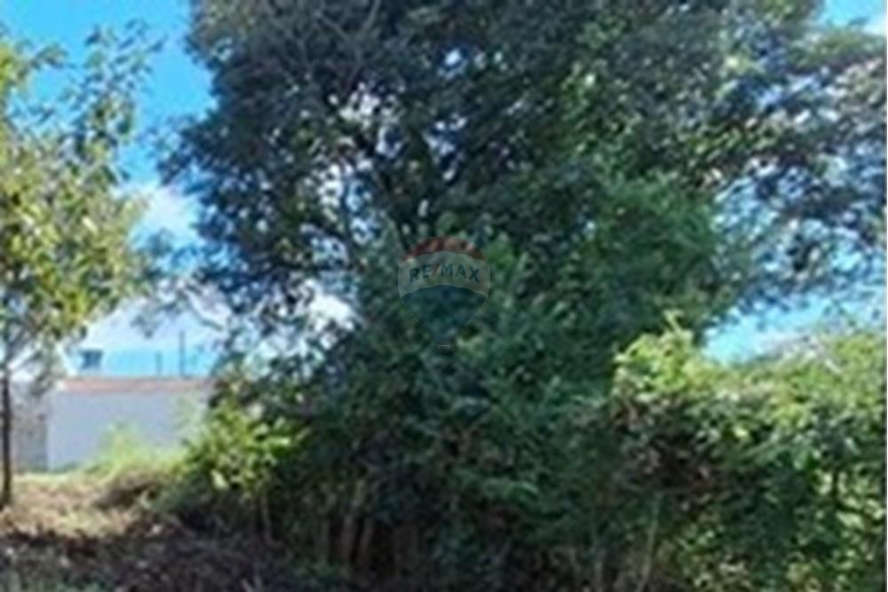 Terreno - Venda - Varginha , Minas Gerais - L_31268143-c907-4e51-a6e2-eaca625fa22e.jpg - 870641024-57