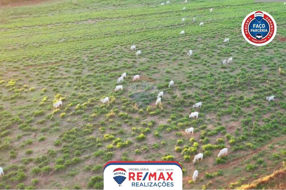 Chácara / Sítio / Fazenda - Venda - Patos de Minas , Minas Gerais - 1.jpg - 870631011-31