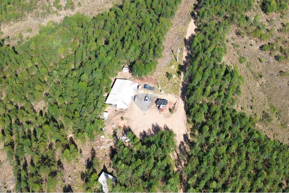 Chácara / Sítio / Fazenda - Venda - Araxá , Minas Gerais - 01.JPG - 870431045-49