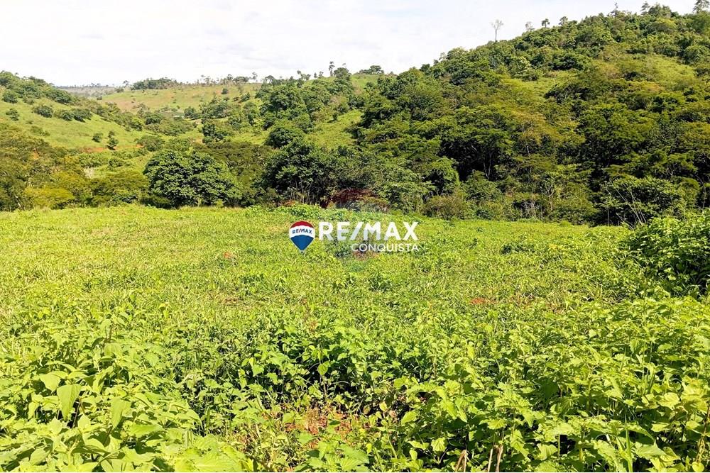 Chácara / Sítio / Fazenda - Venda - Pocrane , Minas Gerais - 2_IMG_20241203_084938_watermark_sex._13122024_135945.jpg - 870451001-114