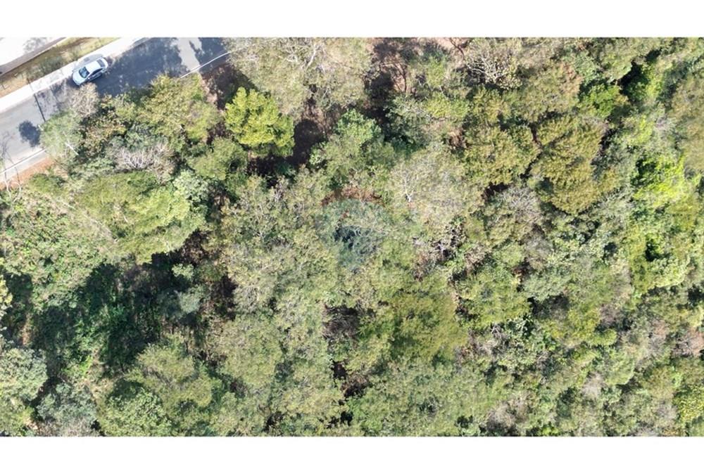 Terreno - Venda - Nova Lima , Minas Gerais - dji_fly_20250819_143250_676_1755688857468_photo.JPG - 870351059-18