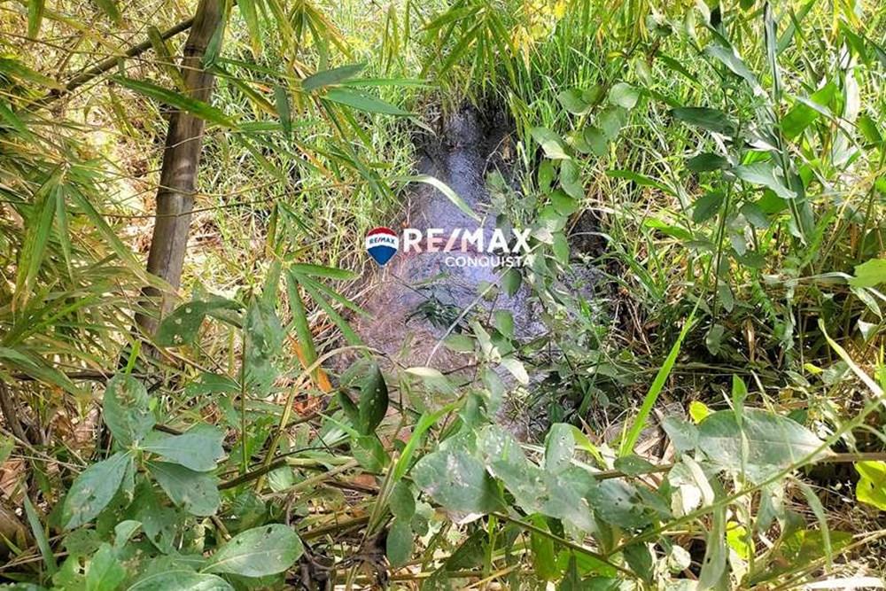 Chácara / Sítio / Fazenda - Venda - Ipanema , Minas Gerais - 5_IMG_20240515_091110_watermark_dom._23062024_100803.jpg - 870451001-122