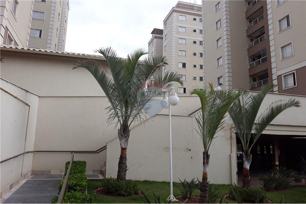 Apartamento - Alugar - Belo Horizonte , Minas Gerais - 24 - 870241100-101