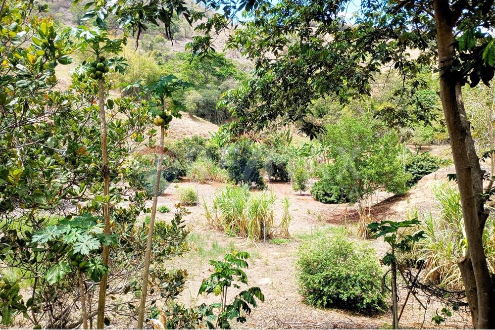 Chácara / Sítio / Fazenda - Venda - Ipanema , Minas Gerais - 2_image_2_watermark_qua._29102025_112043.jpg - 870451004-107