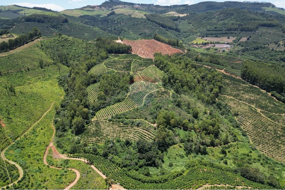 Chácara / Sítio / Fazenda - Venda - São Sebastião da Grama , São Paulo - DJI_0718.JPG - 870361041-98