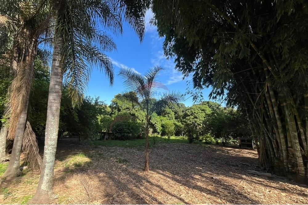 Chácara / Sítio / Fazenda - Venda - Araxá , Minas Gerais - MONICA 9.jpeg - 870431058-3