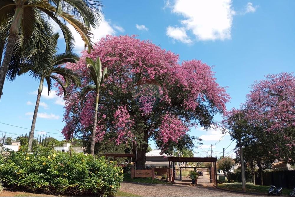 Terreno - Venda - Araxá , Minas Gerais - 11.jpg - 870431045-42