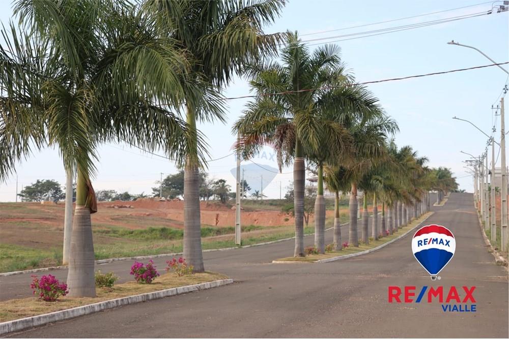 Terreno - Venda - São João Batista do Glória , Minas Gerais - IMG-20250220-WA0052.jpg - 870731001-9