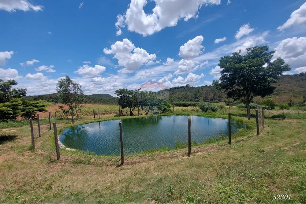 Chácara / Sítio / Fazenda - Venda - Perdizes , Minas Gerais - WhatsApp Image 2025-02-25 at 19.55.20.jpeg - 870431028-37