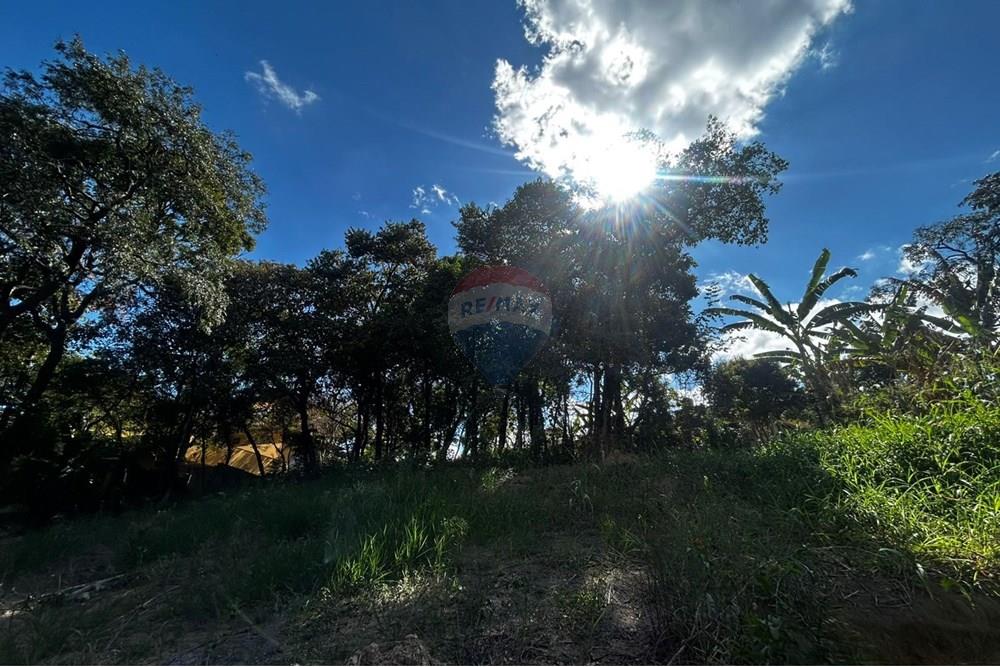 Chácara / Sítio / Fazenda - Venda - Sarzedo , Minas Gerais - lote130012.jpg - 870351054-22