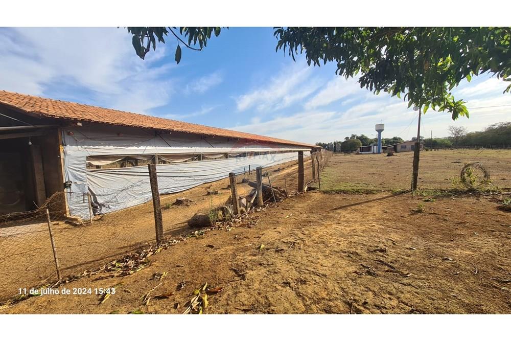 Chácara / Sítio / Fazenda - Venda - Uberaba , Minas Gerais -  (8).jpeg - 870291025-115