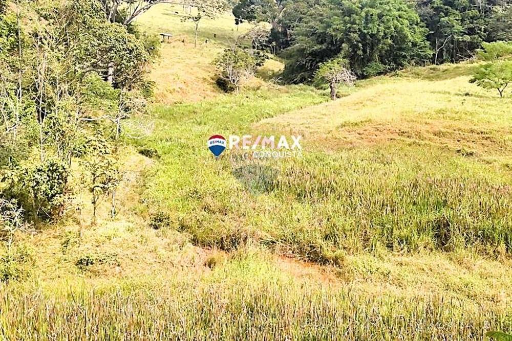 Chácara / Sítio / Fazenda - Venda - Ipanema , Minas Gerais - 2_IMG_20240515_093306_watermark_dom._23062024_100704.jpg - 870451001-122