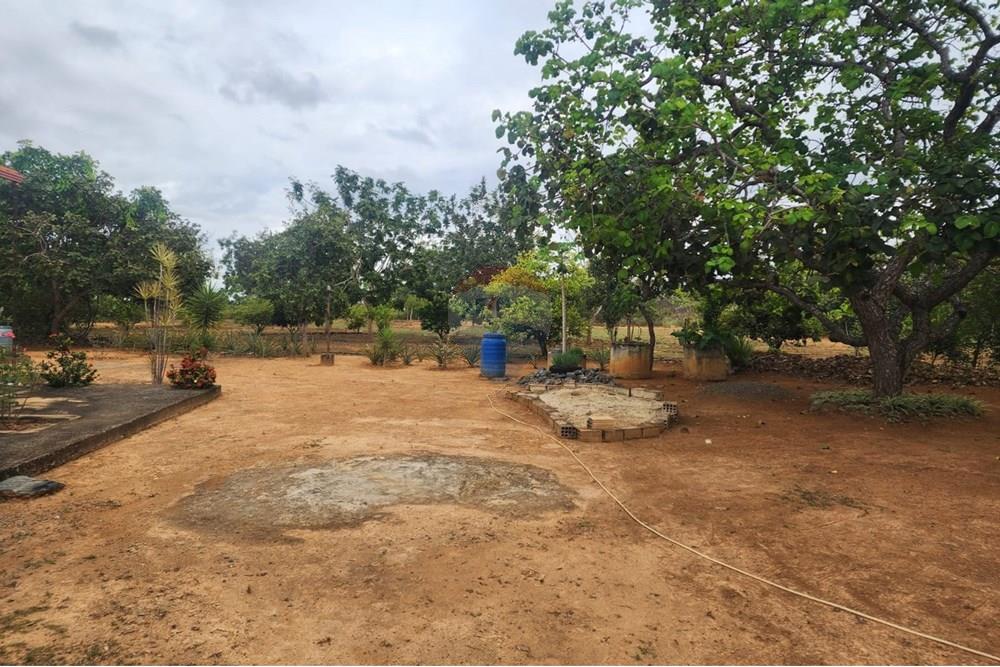 Chácara / Sítio / Fazenda - Venda - Curvelo , Minas Gerais - 2cd9b287-40b0-415c-aee6-0348fb263bf2.jpeg - 870241024-65