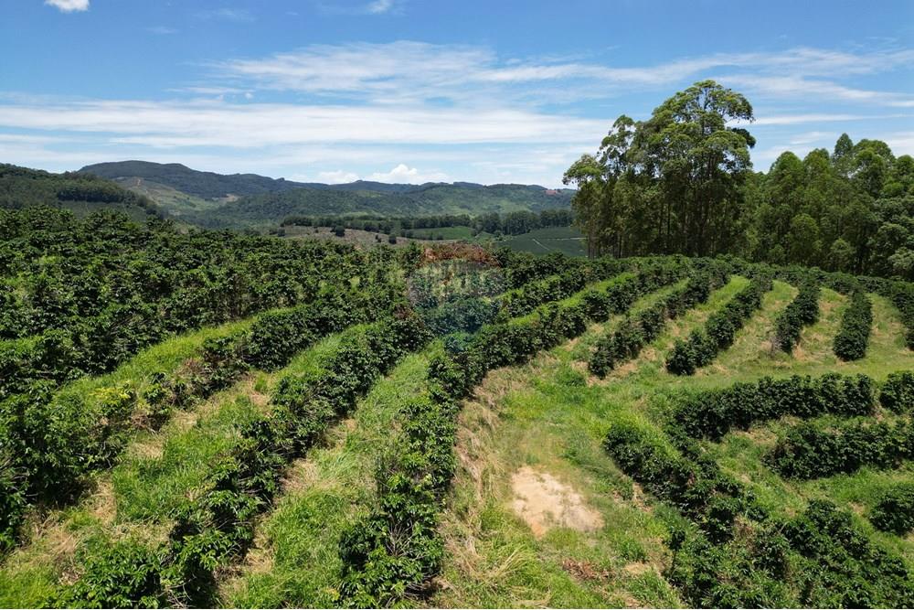 Chácara / Sítio / Fazenda - Venda - São Sebastião da Grama , São Paulo - DJI_0733.JPG - 870361041-98