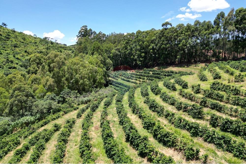 Chácara / Sítio / Fazenda - Venda - São Sebastião da Grama , São Paulo - DJI_0730.JPG - 870361041-98