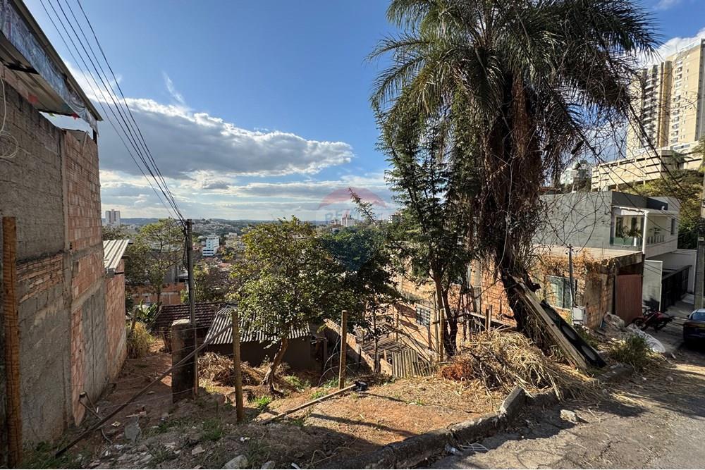 Terreno - Venda - Belo Horizonte , Minas Gerais - IMG_0303.JPG - 870411048-65