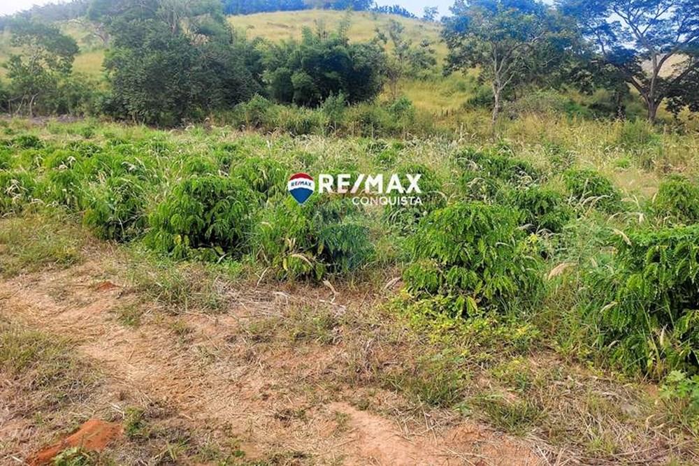 Chácara / Sítio / Fazenda - Venda - Ipanema , Minas Gerais - 6_IMG_20240515_082602_watermark_dom._23062024_100003.jpg - 870451001-121