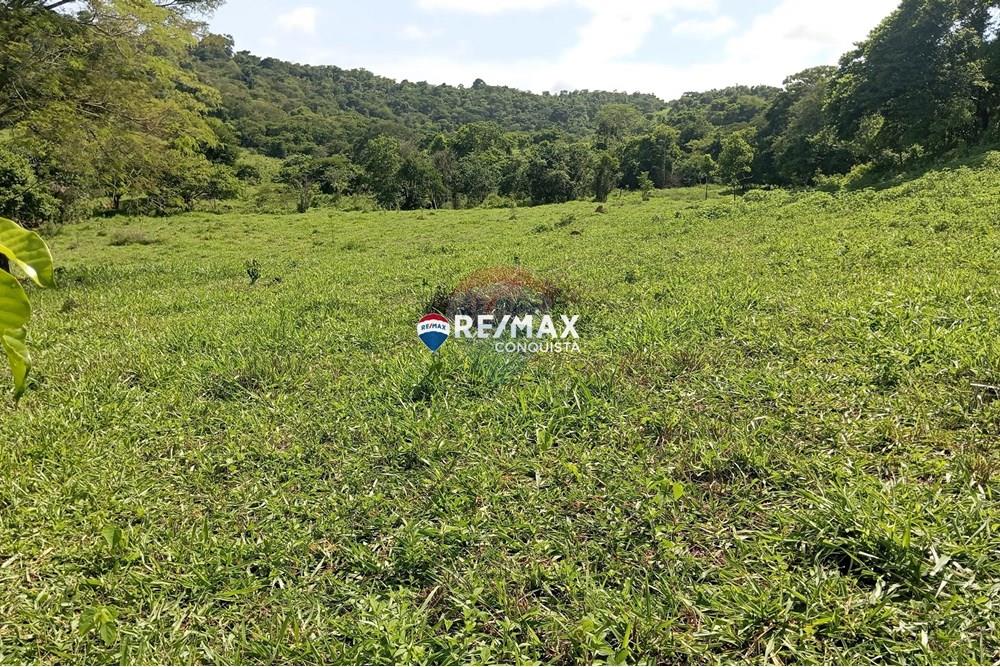 Chácara / Sítio / Fazenda - Venda - Pocrane , Minas Gerais - 7_IMG_20241203_090501_watermark_sex._13122024_135234.jpg - 870451001-114