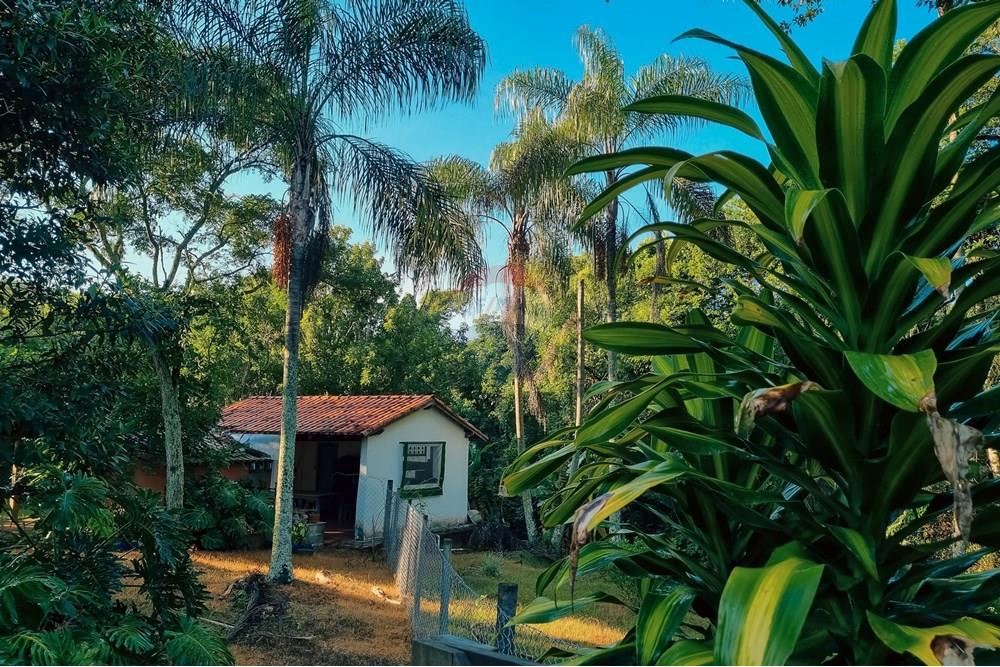Chácara / Sítio / Fazenda - Venda - São Sebastião do Paraíso , Minas Gerais - c10.jpg - 870291002-306