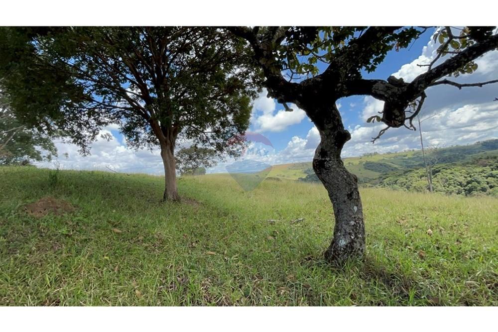 Fazenda - Venda - São Roque de Minas , Minas Gerais - IMG_0968.jpg - 870431039-42