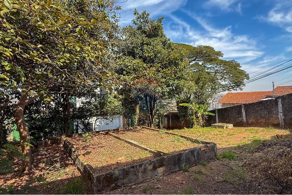 Terreno - Venda - Belo Horizonte , Minas Gerais - IMG_1781.jpg - 870351012-218