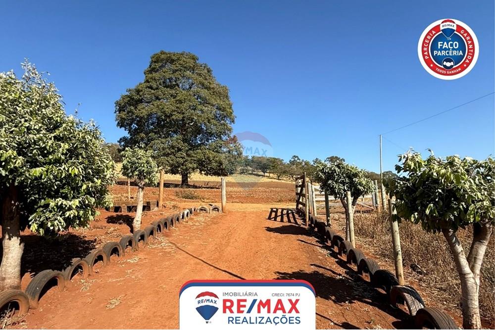 Chácara / Sítio / Fazenda - Venda - Patos de Minas , Minas Gerais - IMG-20250807-WA0067.jpg - 870631012-85