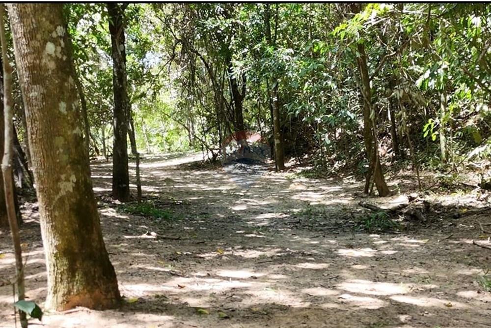 Chácara / Sítio / Fazenda - Venda - Delfinópolis , Minas Gerais - WhatsApp Image 2025-05-01 at 17.31.26.jpeg - 870721003-2